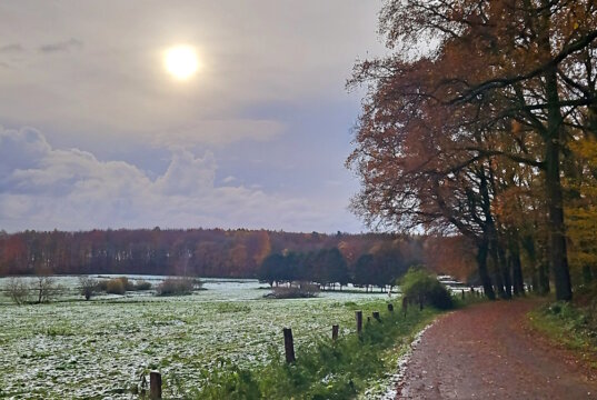 Unsere Gastautorin Miriam Köppchen drehte jetzt eine Runde um den Gravenberg. Es war auch ein Spaziergang vom Herbst in den Winter. (Foto: © Miriam Köppchen)