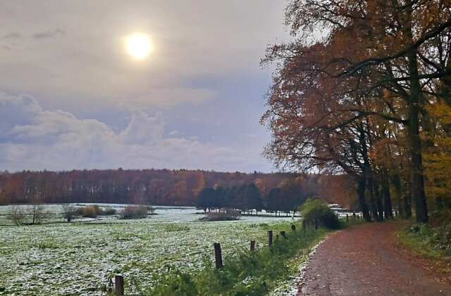 Unsere Gastautorin Miriam Köppchen drehte jetzt eine Runde um den Gravenberg. Es war auch ein Spaziergang vom Herbst in den Winter. (Foto: © Miriam Köppchen)