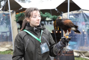 Zum erweiterten Rahmenprogramm gehören auch Vorführungen mit Greifvögeln und anderen Mitmach-Angeboten, die Besucherinnen und Besucher quer über das Gelände begleiten. (Foto: © Bastian Glumm)