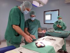 Demonstration am Model: Prof. Dr. Markus Heuser erklärt eine OP-Schnitttechnik. (Foto: © Dr. A. Hoffmeister)