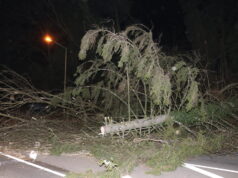 Der Sturm knickte in Solingen zahlreiche Bäume um, was wiederum zu Straßensperrungen führte. Wie hier auf der Ittertalstraße. (Foto: © Bastian Glumm)