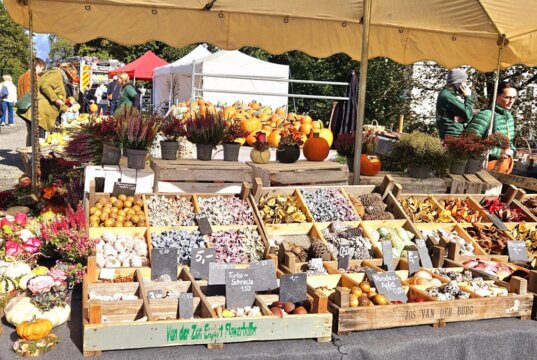 Die Herbstzeit ist die Hochsaison der Bauernmärkte und auch in diesem Jahr locken zahlreiche Veranstaltungen mit frischen Lebensmitteln. (Foto: © Miriam Köppchen)