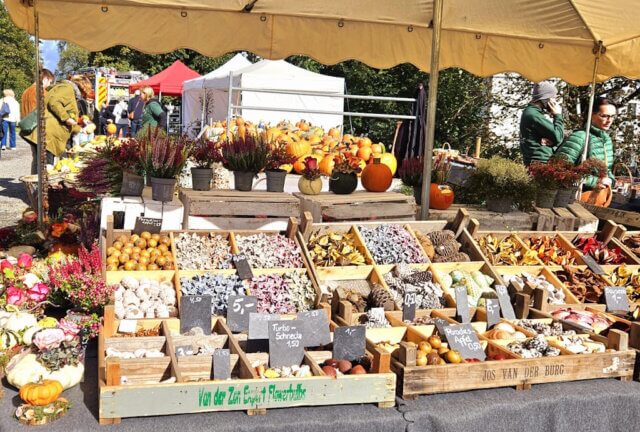 Die Herbstzeit ist die Hochsaison der Bauernmärkte und auch in diesem Jahr locken zahlreiche Veranstaltungen mit frischen Lebensmitteln. (Foto: © Miriam Köppchen)