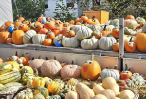 Die Herbst- und Bauernmärkte in der Region bieten neben frischen Lebensmitteln oft auch ein Programm für die ganze Familie. (Foto: © Miriam Köppchen)