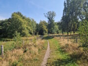 Ein Ausflug zum Jaberg in Hilden lohnt sich, das Naherholungsgebiet ist ein wunderbarer Ort für alle, die gerne Zeit in der Natur verbringen. (Foto: © Bastian Glumm)