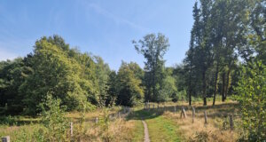 Ein Ausflug zum Jaberg in Hilden lohnt sich, das Naherholungsgebiet ist ein wunderbarer Ort für alle, die gerne Zeit in der Natur verbringen. (Foto: © Bastian Glumm)