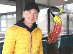 Aktionskünstler Thomas Baumgärtel aus Köln, der Banenensprayer, hinterließ am Freitag an drei Solinger Gesundheitseinrichtungen seine "Impf-Banane". (Foto: © Bastian Glumm)