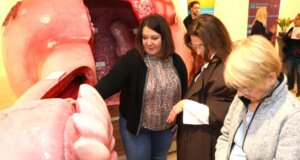 Dr. Séverine Iborra, Chefärztin der Klinik für Frauenheilkunde und Geburtshilfe am Städtischen Klinikum Solingen, erklärt Besucherinnen das begehbare Gebärmutter-Modell beim 1. Solinger Tag für Frauengesundheit im Hofgarten. (Foto: © Bastian Glumm)