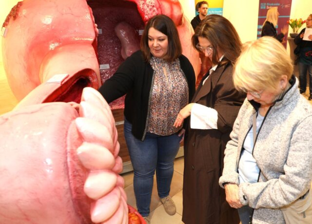 Dr. Séverine Iborra, Chefärztin der Klinik für Frauenheilkunde und Geburtshilfe am Städtischen Klinikum Solingen, erklärt Besucherinnen das begehbare Gebärmutter-Modell beim 1. Solinger Tag für Frauengesundheit im Hofgarten. (Foto: © Bastian Glumm)