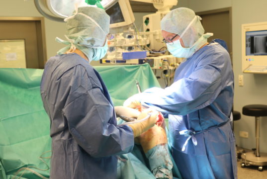 Im Endoprothetik Zentrum am Städtischen Klinikum Solingen, das 2014 erstmalig zertifiziert wurde, werden jährlich zwischen 300 und 350 Gelenkprothesen implantiert. (Foto: © Bastian Glumm)