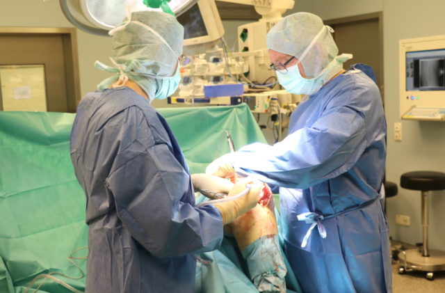 Im Endoprothetik Zentrum am Städtischen Klinikum Solingen, das 2014 erstmalig zertifiziert wurde, werden jährlich zwischen 300 und 350 Gelenkprothesen implantiert. (Foto: © Bastian Glumm)