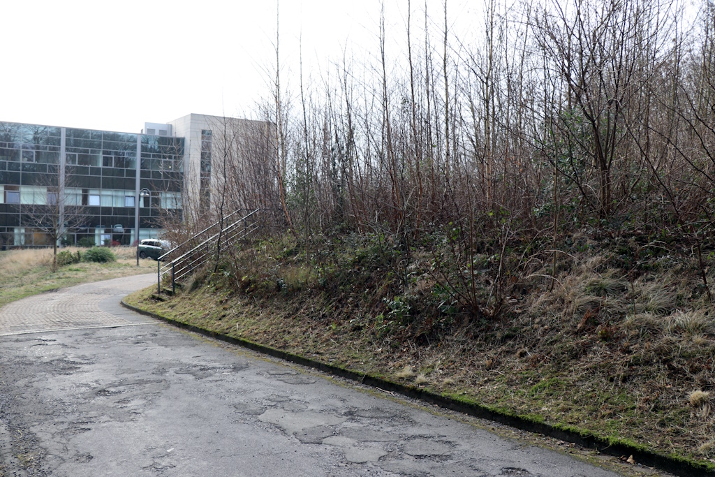 Neben Haus G entstehen für ein Jahr weitere Parkplätze. (Foto: © Bastian Glumm)