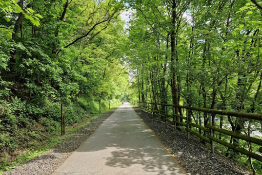 Die Korkenziehertrasse im Bereich des Frankfurter Damms. (Foto: © Bastian Glumm)