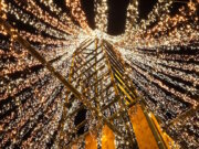 Ein Meer aus Licht: Rund 100.000 LEDs erstrahlen im 16 Meter hohen Lichterbaum von Mike Kinne und machen die Hofeinfahrt weit über Leichlingen hinaus sichtbar. (Foto: © Miriam Köppchen)