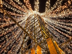 Ein Meer aus Licht: Rund 100.000 LEDs erstrahlen im 16 Meter hohen Lichterbaum von Mike Kinne und machen die Hofeinfahrt weit über Leichlingen hinaus sichtbar. (Foto: © Miriam Köppchen)