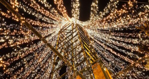 Ein Meer aus Licht: Rund 100.000 LEDs erstrahlen im 16 Meter hohen Lichterbaum von Mike Kinne und machen die Hofeinfahrt weit über Leichlingen hinaus sichtbar. (Foto: © Miriam Köppchen)