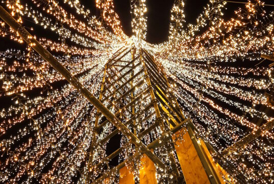 Ein Meer aus Licht: Rund 100.000 LEDs erstrahlen im 16 Meter hohen Lichterbaum von Mike Kinne und machen die Hofeinfahrt weit über Leichlingen hinaus sichtbar. (Foto: © Miriam Köppchen)