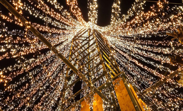 Ein Meer aus Licht: Rund 100.000 LEDs erstrahlen im 16 Meter hohen Lichterbaum von Mike Kinne und machen die Hofeinfahrt weit über Leichlingen hinaus sichtbar. (Foto: © Miriam Köppchen)
