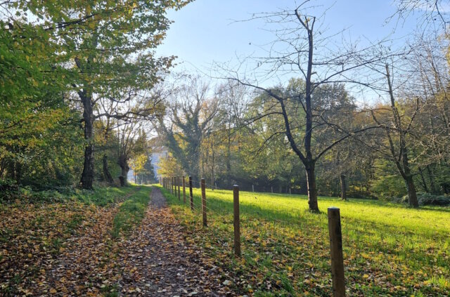 In Solingen entstehen mehrere 