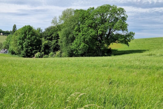 Nachhaltiger Mobilfunk als Teil einer umweltbewussten Infrastruktur – ein Blick auf moderne Ansätze im Natur- und Ressourcenschutz. (Archivfoto: © Bastian Glumm)