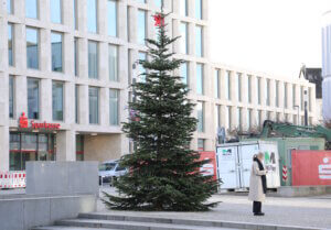 Der erstmals auf dem Neumarkt aufgestellte Weihnachtsbaum der Mitteschmiede: Rund 6,70 Meter hoch, knapp 5.000 Euro teuer und gemeinschaftlich unterstützt von Stadt-Sparkasse und Diakonie. (Foto: © Bastian Glumm)
