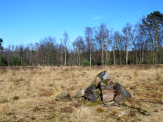 Das Naturschutzgebiet Ohligser Heide. (Archivfoto: © Martina Hörle)