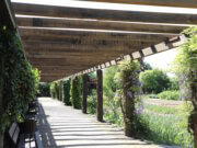 Die Pergola im Botanischen Garten Solingen wurde erneuert und feierlich eingeweiht. Dank großzügiger Unterstützung erstrahlt das beliebte Bauwerk jetzt wieder in neuem Glanz – mit zusätzlichem Sonnenschutz. (Foto: © Bastian Glumm)