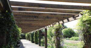 Die Pergola im Botanischen Garten Solingen wurde erneuert und feierlich eingeweiht. Dank großzügiger Unterstützung erstrahlt das beliebte Bauwerk jetzt wieder in neuem Glanz – mit zusätzlichem Sonnenschutz. (Foto: © Bastian Glumm)