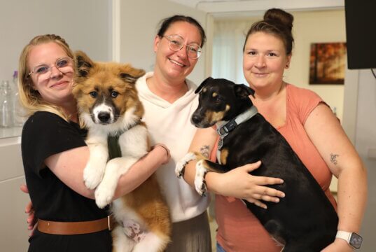Chefin Olga Prinz (mi.) mit den Pflegefachkräften Janina Speckmann (li.) und Karina Merle (re.): In der Wohngemeinschaft an der Friedrichstraße sind auch Hunde willkommen und sogar Teil des therapeutischen Ansatzes. (Foto: © Bastian Glumm)