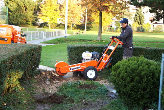 In Aktion für einen neuen Weg zum Vereinsheim des Post SV ohne Stolperfallen: die Baumstumpffräse von Boels Rental Solingen. (Foto: © Post SV Solingen)