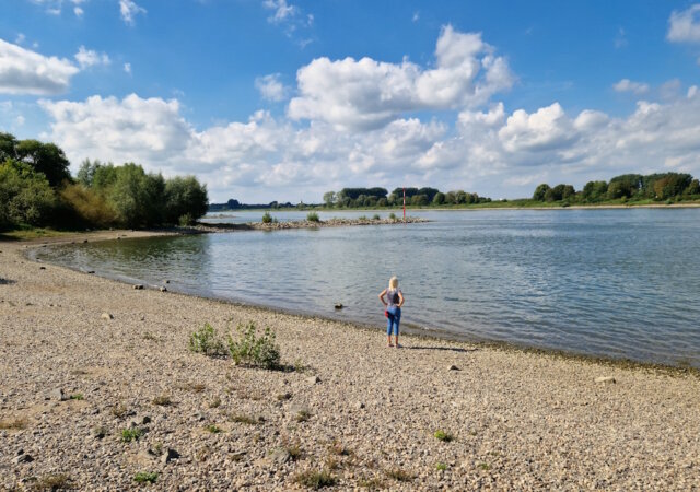 Die Rheinpromenade in Monheim am Rhein ist ein beliebtes Ziel für Spaziergänger, Radfahrer und Naturfreunde. (Foto: © Bastian Glumm)