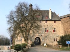 Am Dienstag, 9. Juli, wird die große Roßkastanie vor dem Eingang von Schloss Burg gefällt. (Foto: © Martina Hörle)