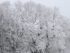 Aufgrund der starken Schneefälle kam es am Spnntag im gesamten Solinger Stadtgebiet zu einer Vielzahl von Einsätzen für die gesamte Solinger Feuerwehr. (Foto: © Bastian Glumm)
