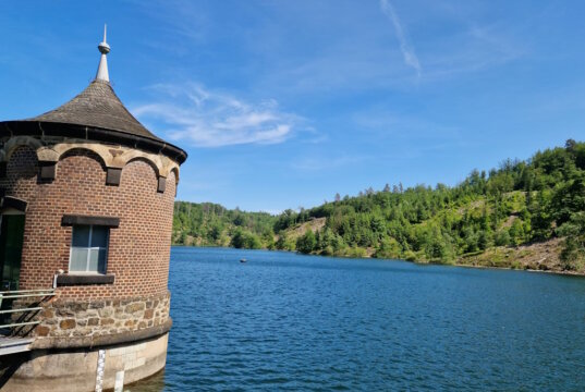 In der Sengbachtalsperre haben die Stadtwerke erneut die Burgunderblutalge nachgewiesen. (Foto: © Bastian Glumm)