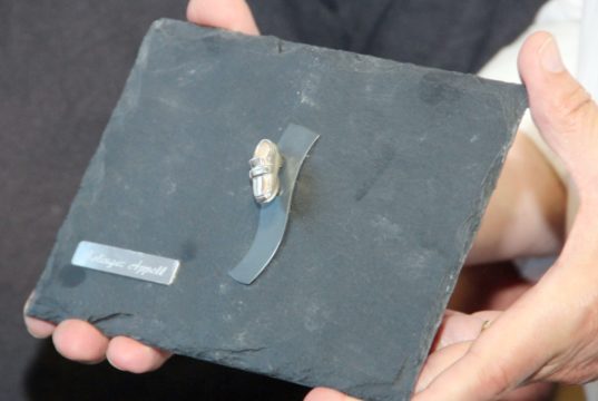 Das Bündnis für Toleranz und Zivilcourage verleiht den „Silbernen Schuh" für mutiges Eintreten gegen Rassismus und Diskriminierung in unserer Gesellschaft. (Archivfoto: © Bastian Glumm)