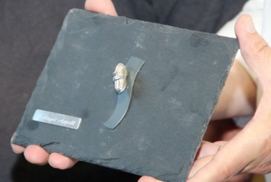Im vergangenen Jahr wurde der Solinger Appell mit dem "Silbernen Schuh" ausgezeichnet. (Archivfoto: © Bastian Glumm)
