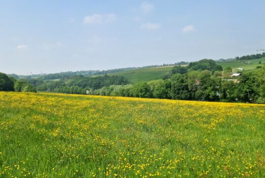 Viel Sonne, kaum Regen: Der Juli war im Wuppergebiet der trockenste seit Beginn der Aufzeichnungen. Auch in Solingen blieb der Niederschlag weit unter dem langjährigen Durchschnitt. (Foto: © Bastian Glumm)