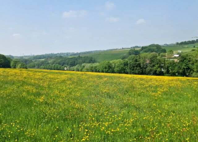Viel Sonne, kaum Regen: Der Juli war im Wuppergebiet der trockenste seit Beginn der Aufzeichnungen. Auch in Solingen blieb der Niederschlag weit unter dem langjährigen Durchschnitt. (Foto: © Bastian Glumm)