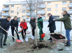 Spar- und Bauverein kooperieren im Rahmen eines Baumpflanz-Projektes. Mitte Dezember wurde der erste junge Baum, ein drei Meter hoher Tulpenbaum (Liriodendron Tulipifera), im Beisein von Oberbürgermeister Tim Kurzbach sowie den SBV-Vorstandsmitgliedern Jürgen Dingel und Uwe Asbach eingepflanzt. (Foto: © SBV Solingen)