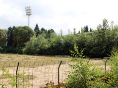 Das Stadion am Hermann-Löns-Weg stirbt einen sehr langsamen Tod. Längst sind die Stehränge so dicht bewachsen, dass das Stadion nur noch schwer als solches zu erkennen ist. Man wartet auf die Abrissbagger. (Foto: © B. Glumm)