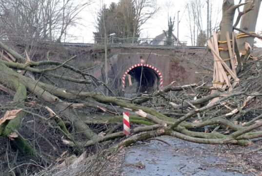 Die Feuerwehr war den ganzen Freitag im Einsatz und hatte es vielerorts mit umgeknickten Bäumen zu tun, wie hier am Keusenhof. (Foto: © Feuerwehr Solingen)