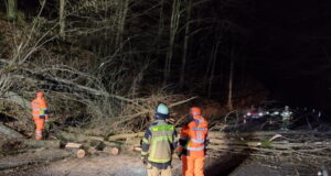 Die Feuerwehr war den ganzen Freitag im Einsatz und hatte es vielerorts mit umgeknickten Bäumen zu tun, wie hier auf der Remscheider Straße. (Foto: © Feuerwehr Solingen)