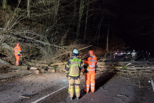 Die Feuerwehr war den ganzen Freitag im Einsatz und hatte es vielerorts mit umgeknickten Bäumen zu tun, wie hier auf der Remscheider Straße. (Foto: © Feuerwehr Solingen)