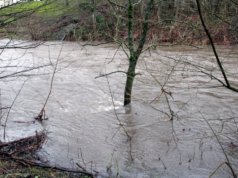 Die Wupper führte Hochwasser und drohte in Unterburg die Wupperinsel zu überfluten. (Symbolfoto: © Bastian Glumm)