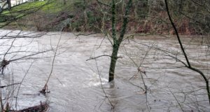 Die Wupper führte Hochwasser und drohte in Unterburg die Wupperinsel zu überfluten. (Symbolfoto: © Bastian Glumm)