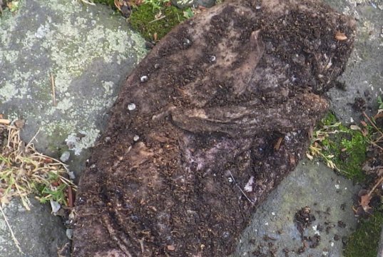 Am frühen Freitagabend beobachteten Zeugen gegen 18.10 Uhr eine Frau, die einen mit Nägeln bespickten Fleischklumpen im Blumenbeet einer Firma an der Lüneschloßstraße in Mitte vergrub. (Foto: © Polizei Wuppertal)
