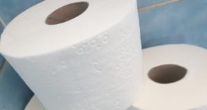 In der Toilette sollte nur solches Papier entsorgt werden, das sich auch im Wasser zersetzt und somit die Entsorgungs-Infratsruktur nicht belastet. (Symbolfoto: © Bastian Glumm)
