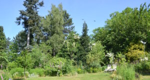 Der Cottagegarten von Garten Ulbrich ist ein wahres Paradies für Sonnenanbeter. Sonnenhungrige Stauden blühen mit Gräsern um die Wette. (Foto: © Martina Hörle)