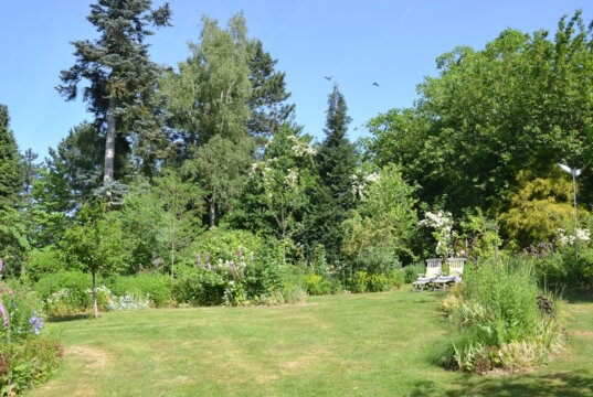 Der Cottagegarten von Garten Ulbrich ist ein wahres Paradies für Sonnenanbeter. Sonnenhungrige Stauden blühen mit Gräsern um die Wette. (Foto: © Martina Hörle)