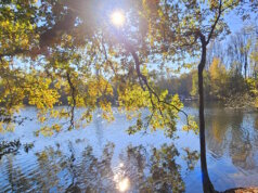 Idyllische Natur am Unterbacher See – ein Ort zum Durchatmen und Genießen, direkt vor den Toren Düsseldorfs. (Foto: © Miriam Köppchen)